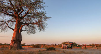Dramatic landscapes and shared moments of awe. No butler required.