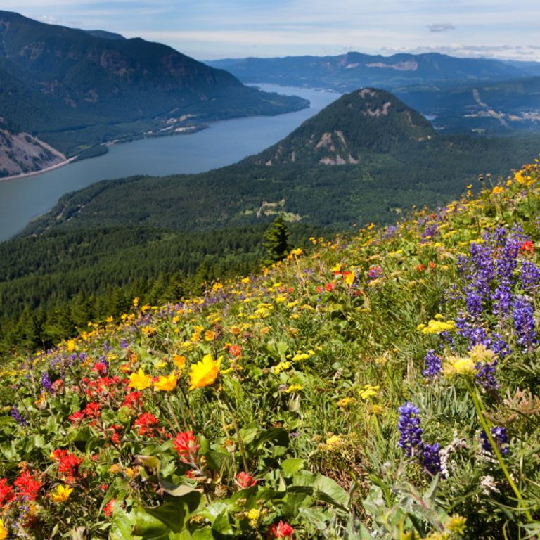 Columbia River Cruises
