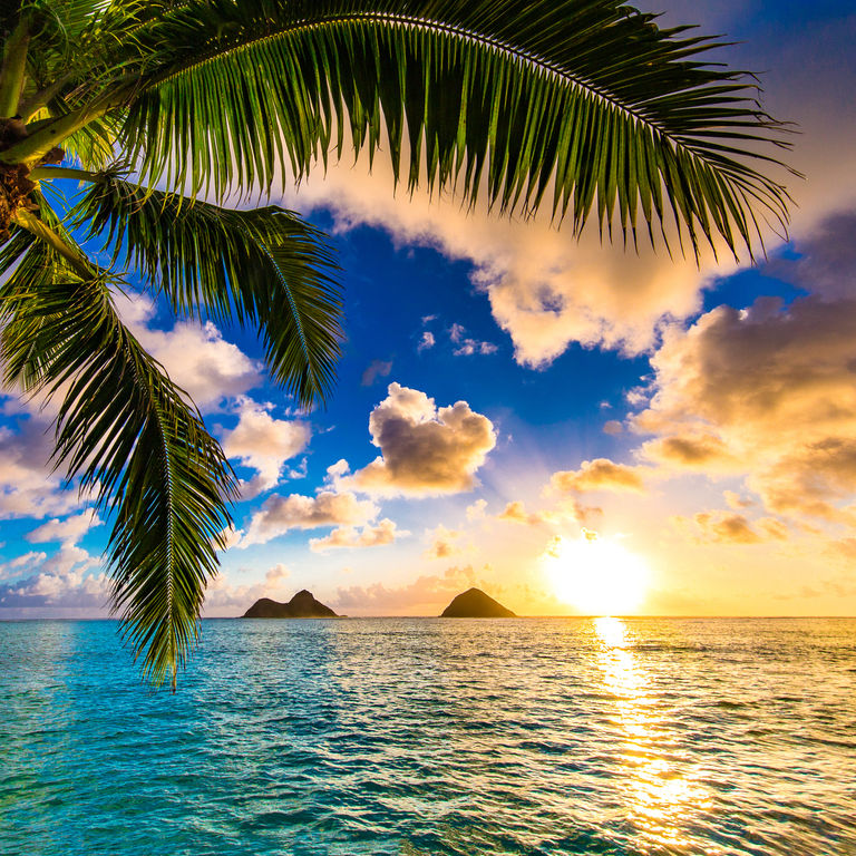 Hawaii Cruises
