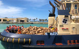 Royal Caribbean delivers hurricane relief