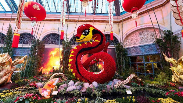 The Year of the Snake display at Bellagio’s Conservatory & Botanical Gardens will run through March 1. The Year of the Snake display at Bellagio’s Conservatory & Botanical Gardens will run through March 1.
